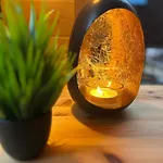 Wellness Mit Sauna, Massagen, Spa, Beheizbarem Whirlpool Bei Leipzig *