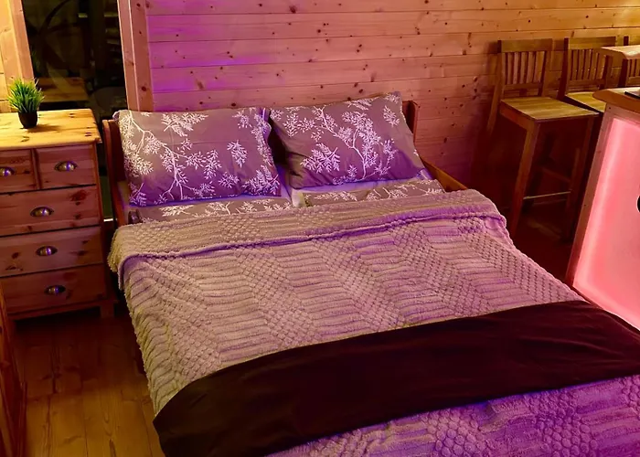 公寓 Wellness Mit Sauna, Massagen, Spa, Beheizbarem Whirlpool Bei Leipzig Pomssen